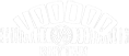vice-logo